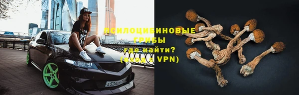 ECSTASY Алзамай