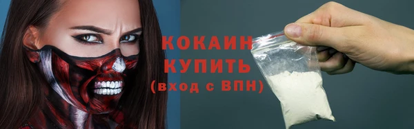 ECSTASY Алзамай