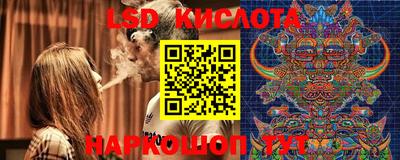 PSILOCYBIN Новокубанск