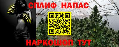 PSILOCYBIN Новокубанск