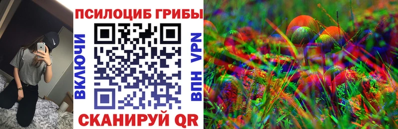 Псилоцибиновые грибы Cubensis  купить закладку  Сургут 