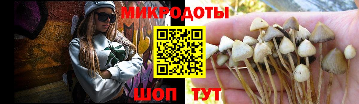 Сургут  Псилоцибиновые грибы MAGIC MUSHROOMS  Вход с VPN 